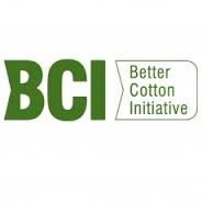 Member of BCI